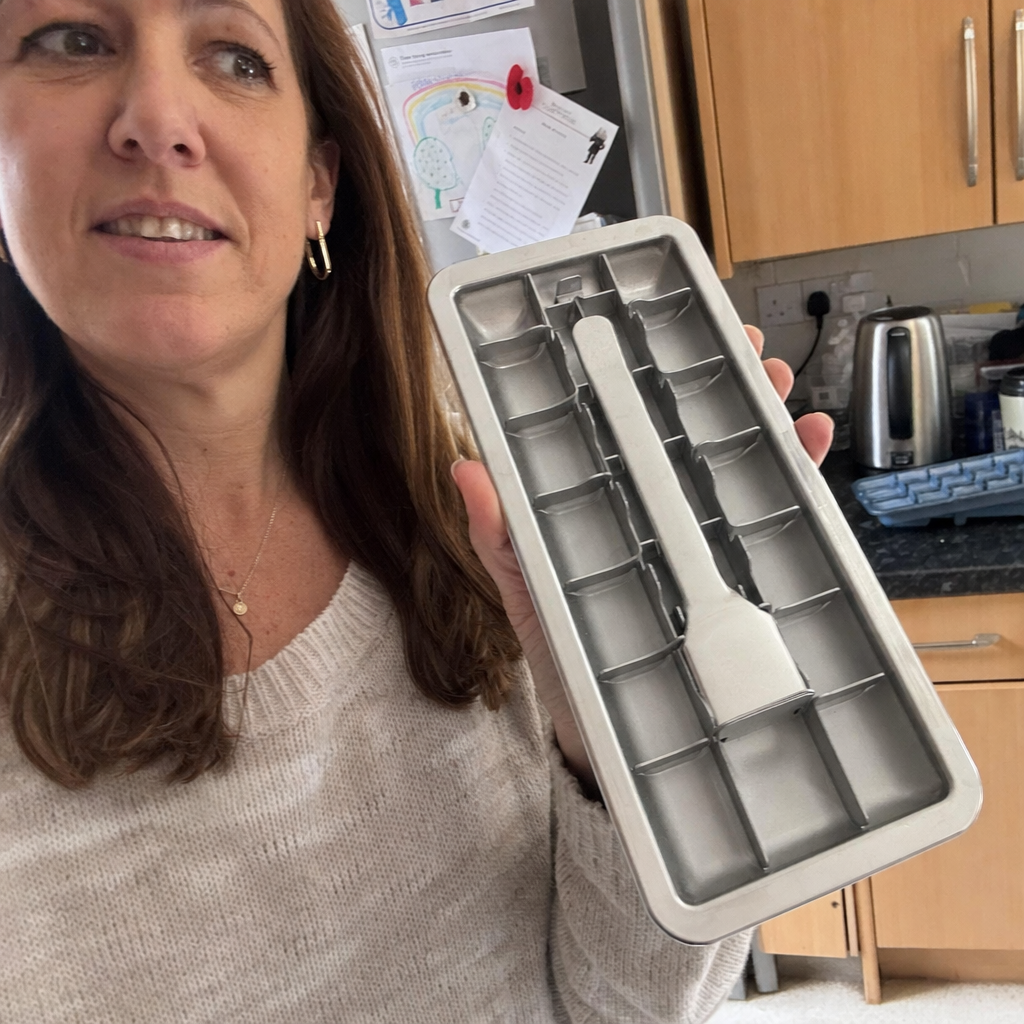 Fjord 001 stainless steel ice tray gifted by Ingrid